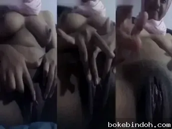 Bokep Hijab Torbat Omek Memek Tembem Digerek Sampe Muncrat